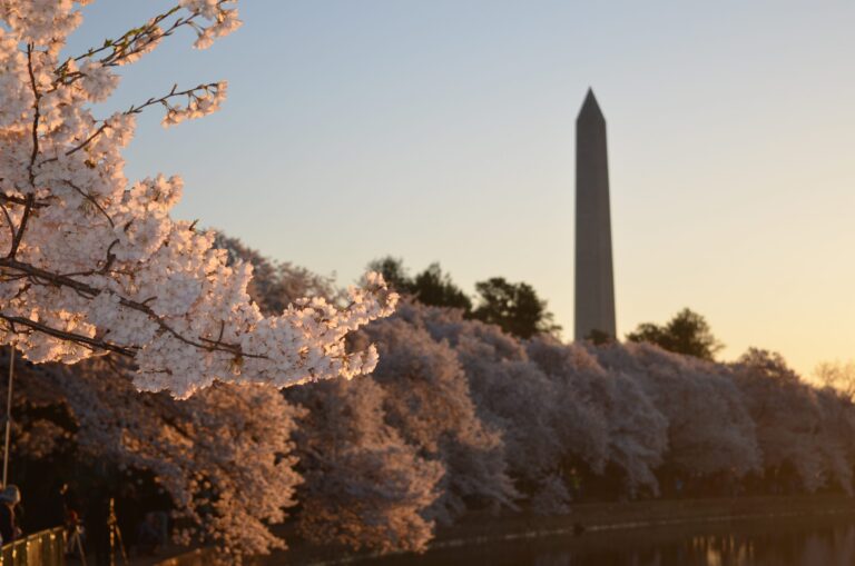 Washington, DC