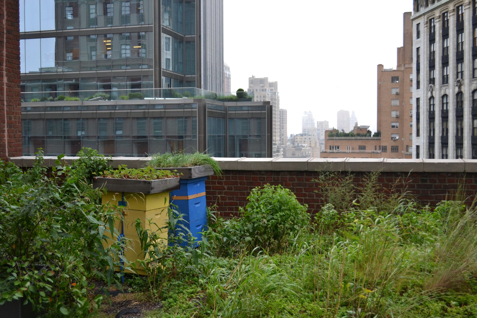 Beehive office in NYC