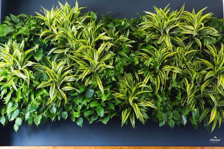 living walls