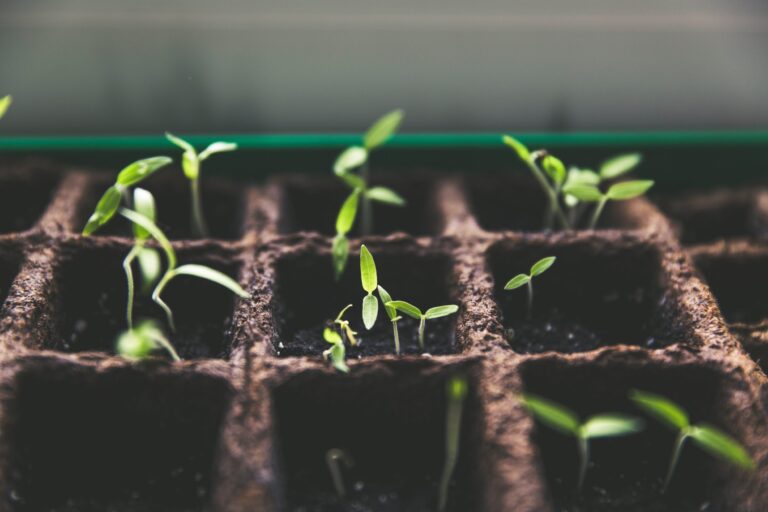 Growing in a flexible office space