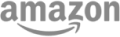 Amazon Logo Gray