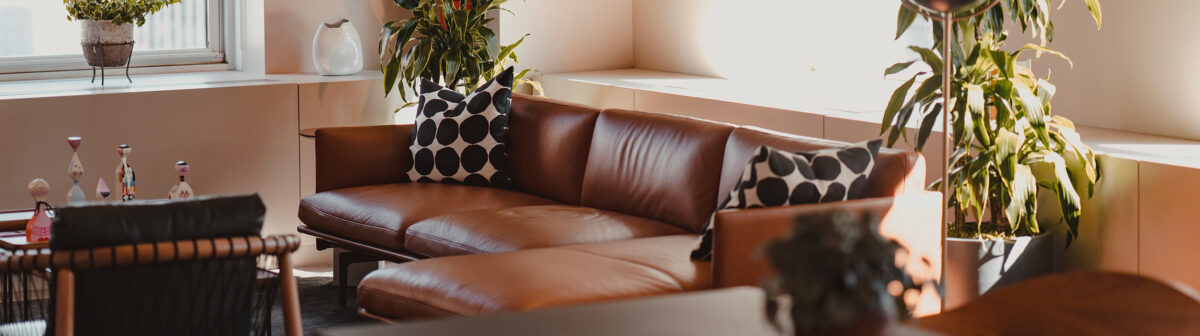Blog Header NYC Rec