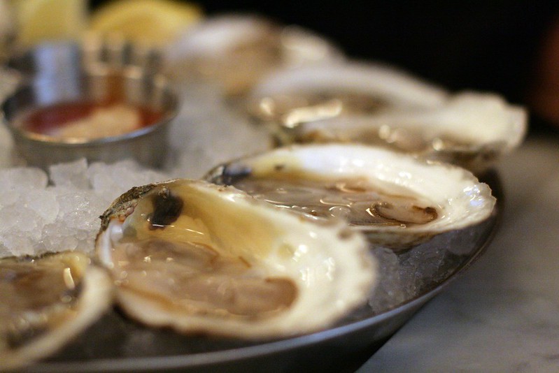 Raw oysters close-up