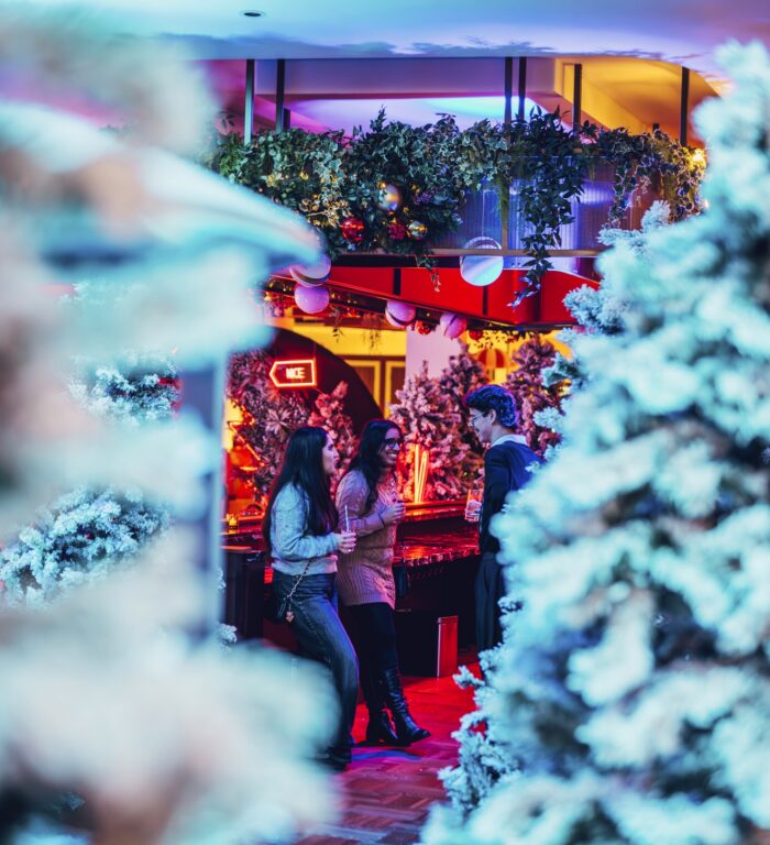 Winter Dome VIP Dinner Image